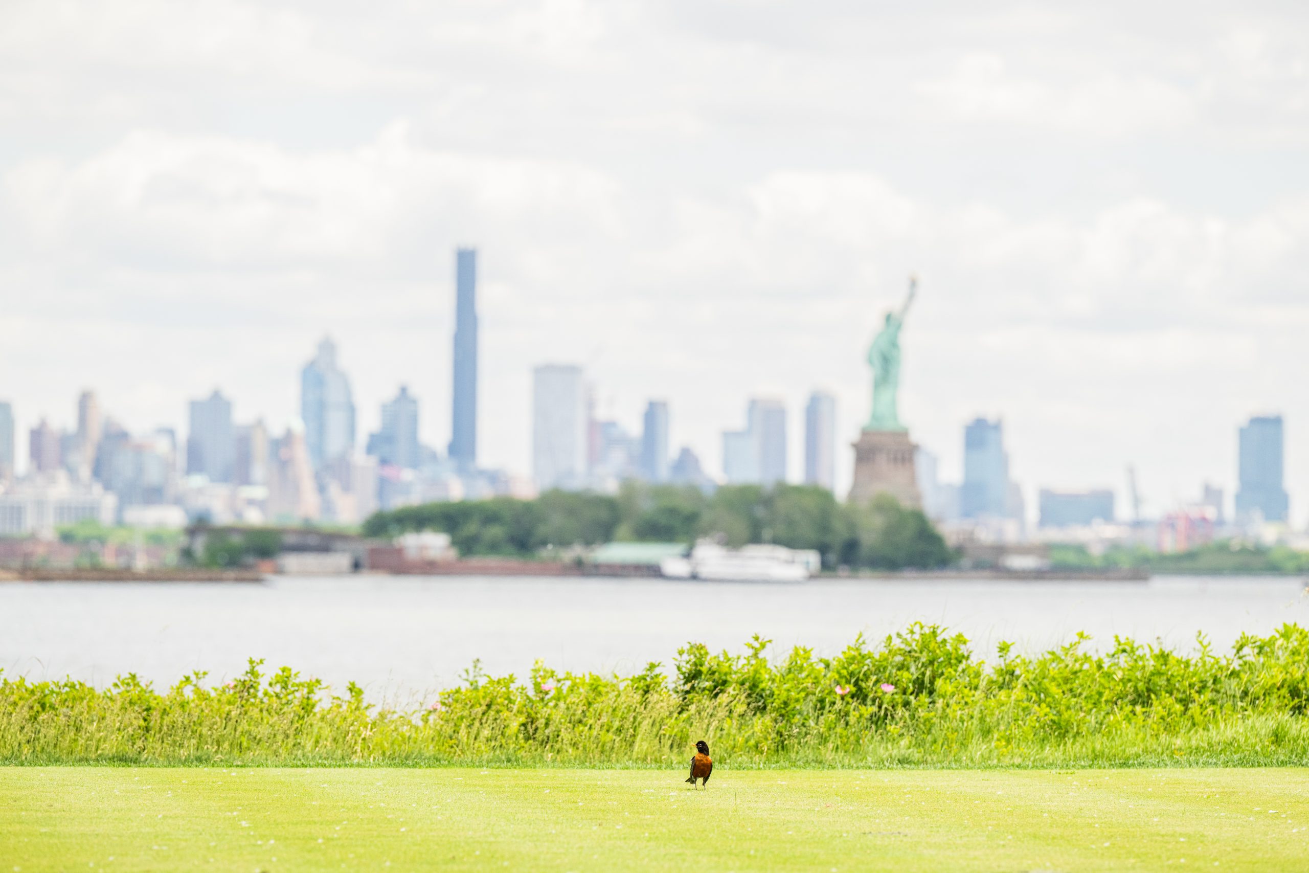 Golf tournament NYC skyline