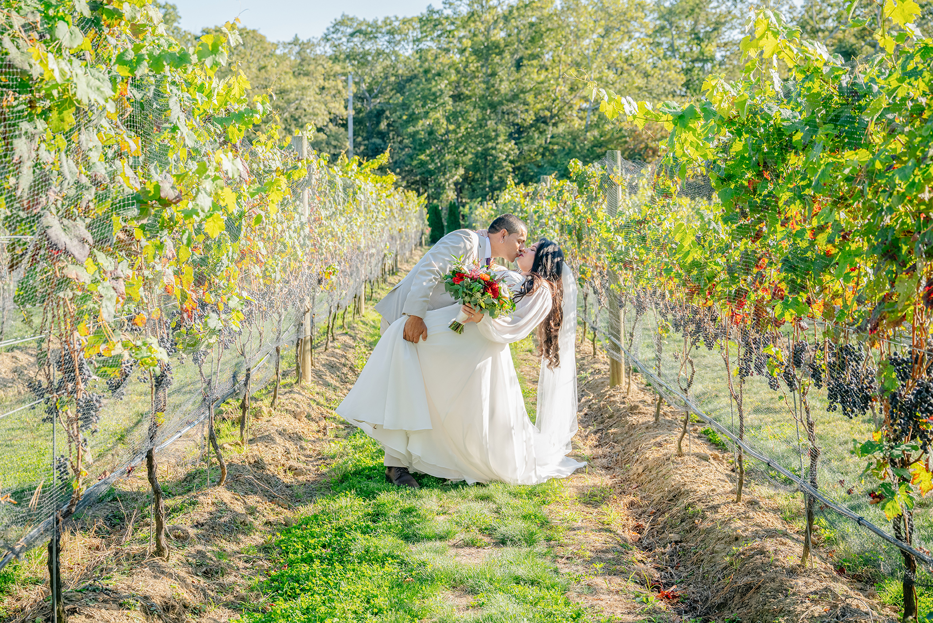 Suffolk County vineyard wedding